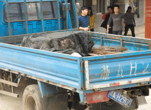 试论用户社交网站购买虚拟物品态度影响因素的实证研究|乐鱼体育